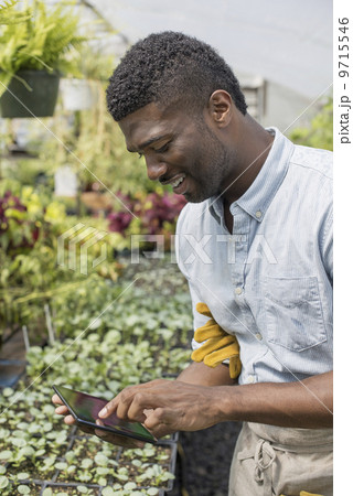 An organic horticultural nursery and farm outside Woodstock. A man using a digital tablet. 9715546