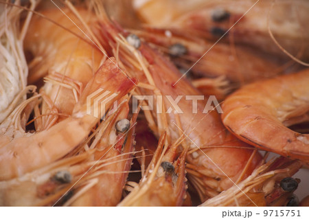 A dish of freshly cooked prawns with shells, heads and tails on. Seafood.  9715751