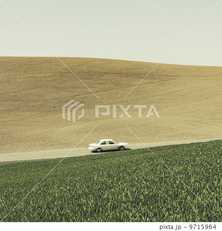 A car driving on am uphill slope, surrounded by farmland and lush, green fields of wheat, near Pullman, Washington. 9715964