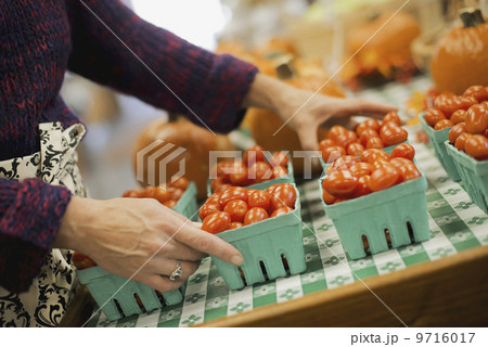 Organic Farmer at Work. A young man arranging a row of punnets of tomatoes. Organic Farmer at Work. A young man arranging a row of punnets of tomatoes. 9716017