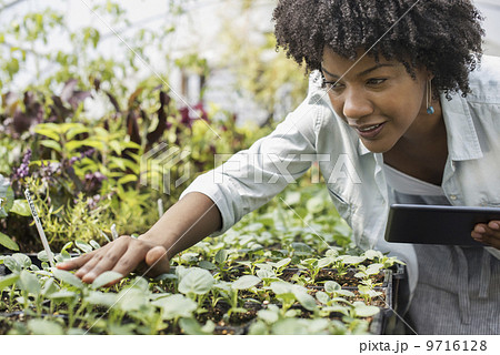 An organic horticultural nursery and farm outside Woodstock. A woman holding a digital tablet. An organic horticultural nursery and farm outside Woodstock. A woman holding a digital tablet. 9716128
