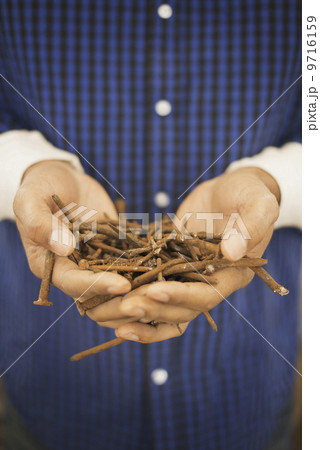 A person holding a heap of rusting metal nails taken from reclaimed timber. 9716159