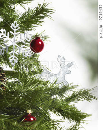 Still life. Green leaf foliage and decorations. A pine tree branch with green needles. Christmas decorations. Two red baubles, and two icicle shaped ornaments. Still life. Green leaf foliage and decorations. A pine tree branch with green needles. Christmas decorations. Two red baubles, and two icicle shaped ornaments. 9716459