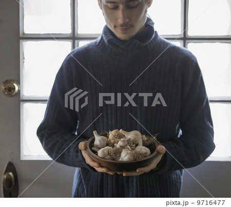 An organic farm in winter in New York State, USA. A young man holding a bow of garlic bulbs. 9716477
