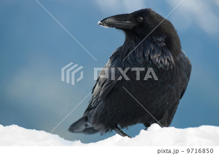 9716850