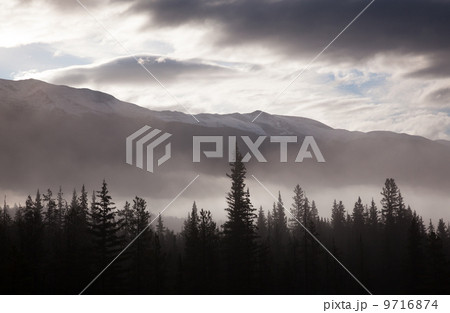 Misty conditions over the landscape and forest, Jasper National Park, Alberta, Canada 9716874