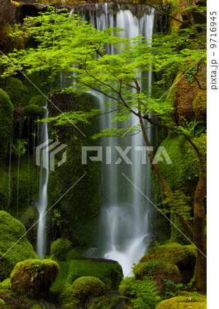 Waterfall, Columbia River Gorge, Oregon, USA 9716945