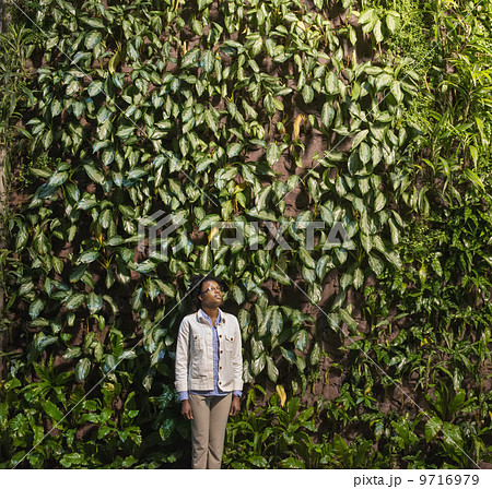 Outdoors in the city in spring. An urban lifestyle. A woman looking up at a high wall covered in climbing plants and foliage. Outdoors in the city in spring. An urban lifestyle. A woman looking up at a high wall covered in climbing plants and foliage. 9716979