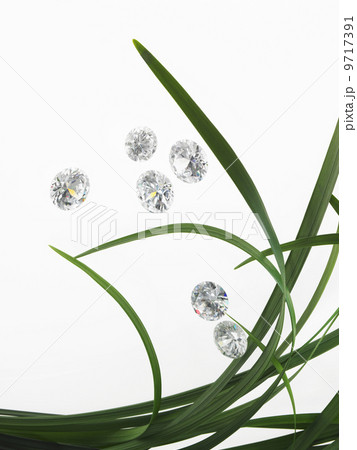 Still life. Green leaf foliage and decorations. Green strap leaves in a group, with small glass gem cut beads sparkling and reflecting light. 9717391