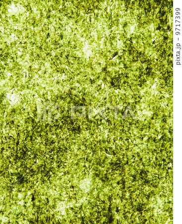 Sheet of organic sushi nori seaweed 9717399