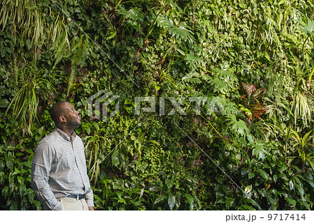 Outdoors in the city in spring. An urban lifestyle. A man looking up at the lush foliage covering a tall wall. Outdoors in the city in spring. An urban lifestyle. A man looking up at the lush foliage covering a tall wall. 9717414