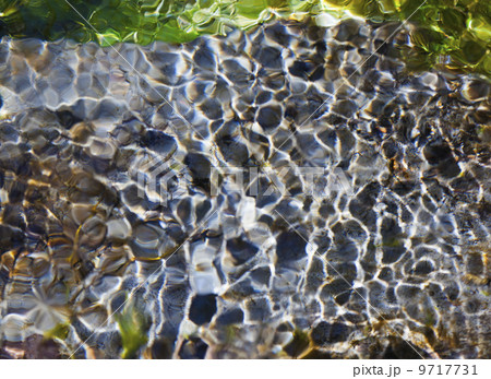 Light and shadow on ripples in a shallow section of the Sol Duc River, Olympic National Park, USA 9717731