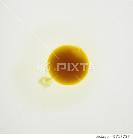 Organic egg on white background 9717757