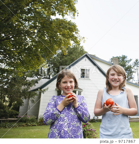 Two children, girls standing in a garden holding and eating fresh picked tomatoes. 9717867