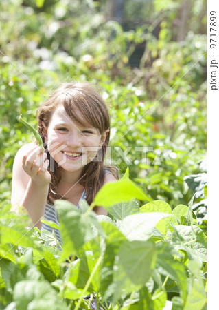 A young girl sitting in among the fresh green foliage of a garden. Vegetables and flowers. Picking fresh vegetables. 9717899