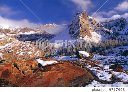 Winter in Cottonwood Canyon in the mountains of the Wasatch Range. Pine forests in snow with low cloud. The Twin Peaks wilderness area. 9717908