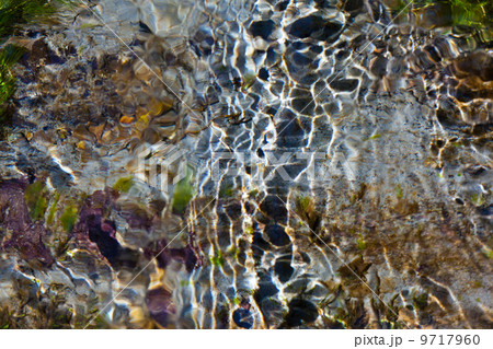 Light and shadow on ripples in a shallow section of the Sol Duc River, Olympic National Park, USA 9717960