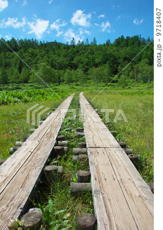 田ノ原湿原 9718407