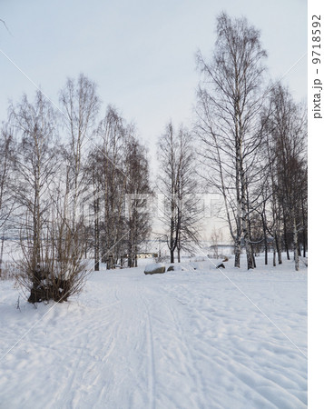 Snowflakes on Ice 9718592