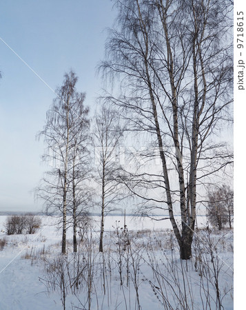 Snowflakes on Ice 9718615