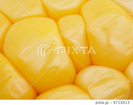 corn close up 9718813