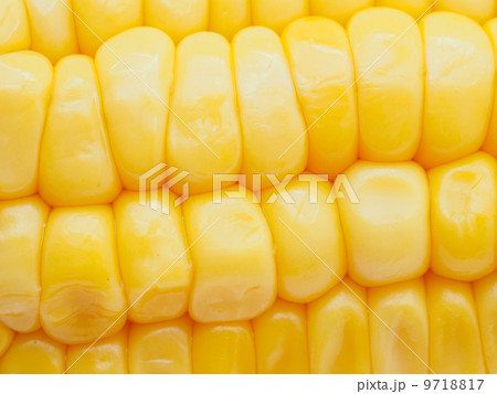 corn close up 9718817