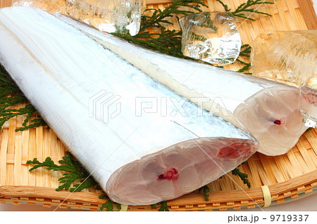 太刀魚 タチウオ 切り身 生 食材 アップ 白背景 太刀魚 タチウオ 切り身 生 食材 アップ 白背景 9719337