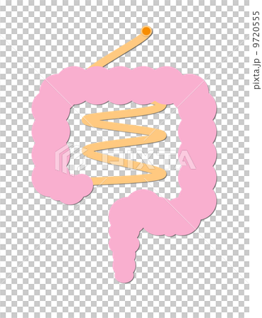 It is intestine. 9720555