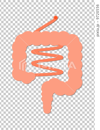 It is intestine. 9720556