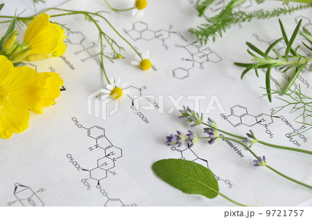 薬用植物 9721757