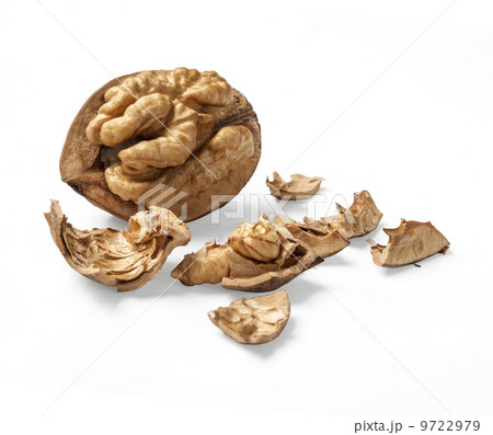 cracked walnut 9722979