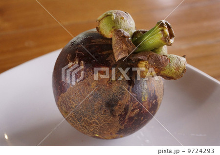 マンゴスチン（インドネシア、バリ島） 9724293