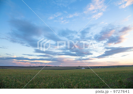Summer landscape - wheat field Summer landscape - wheat field 9727641