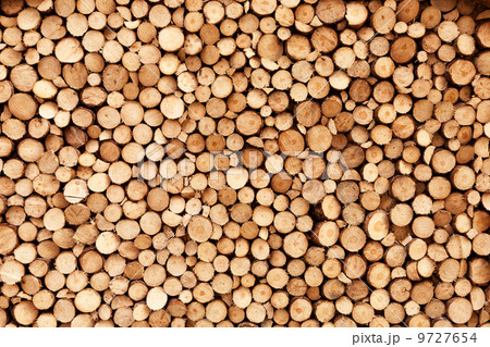 Firewood texture 9727654