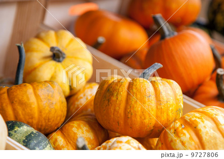 Fresh pumpkins Fresh pumpkins 9727806