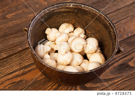 Mushrooms on a kitchen table 9728375