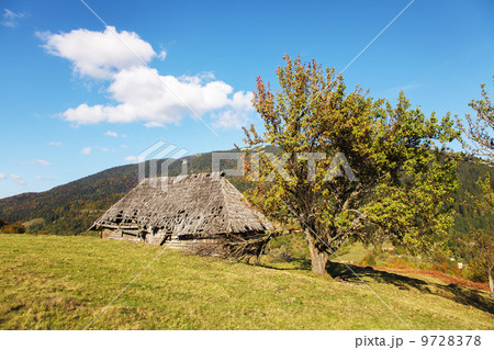 Autumn in the Carpathian Mountains 9728378