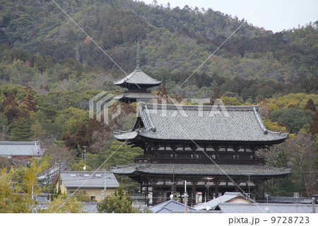 仁和寺 仁和寺 9728723