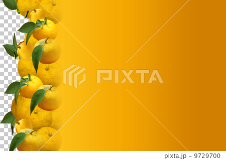 柚子の背景 9729700