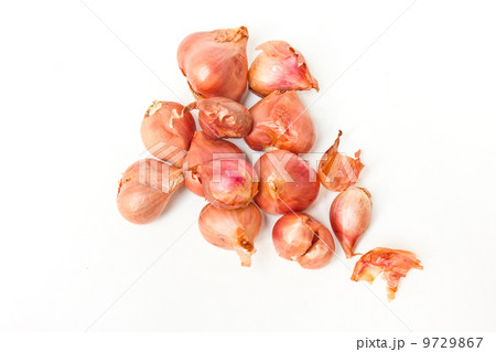Group of small red onion. Group of small red onion. 9729867