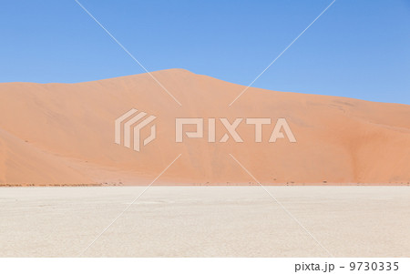 View over the deadvlei with the famous red dunes of Namib desert View over the deadvlei with the famous red dunes of Namib desert 9730335