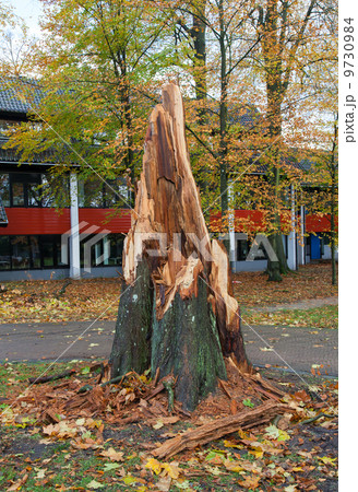 Storm damage 9730984