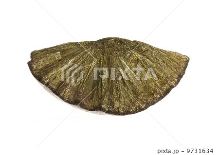 Gold painted stone Gold painted stone 9731634