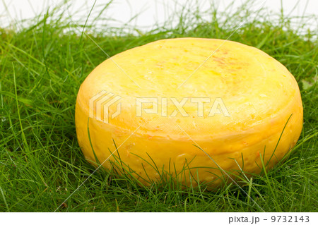 Round onion cheese isolated in the green grass 9732143