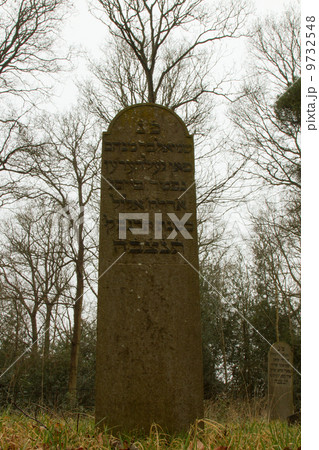 An old jewish graveyard 9732548