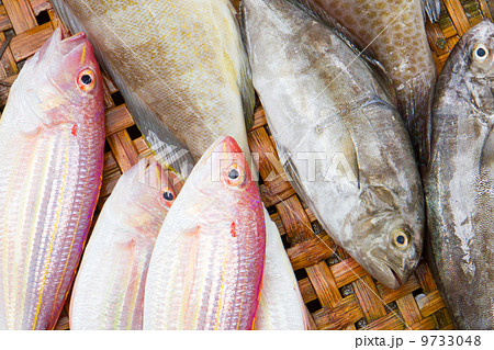 Close up of lovely fresh fish in a wet market 9733048