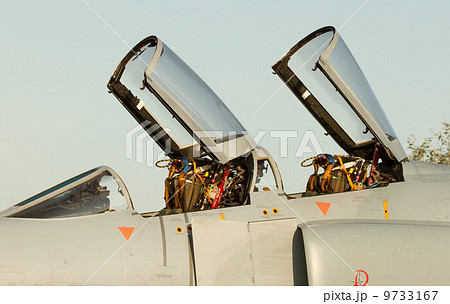 McDonnell Douglas F-4F 9733167