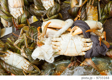 Crab for cunsumption on a Vietnamese market 9733168