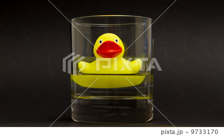 Yellow rubber duck in a whiskyglass 9733170