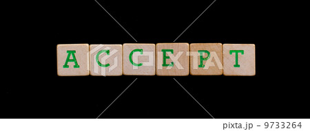 Letters on old wooden blocks (accept) Letters on old wooden blocks (accept) 9733264